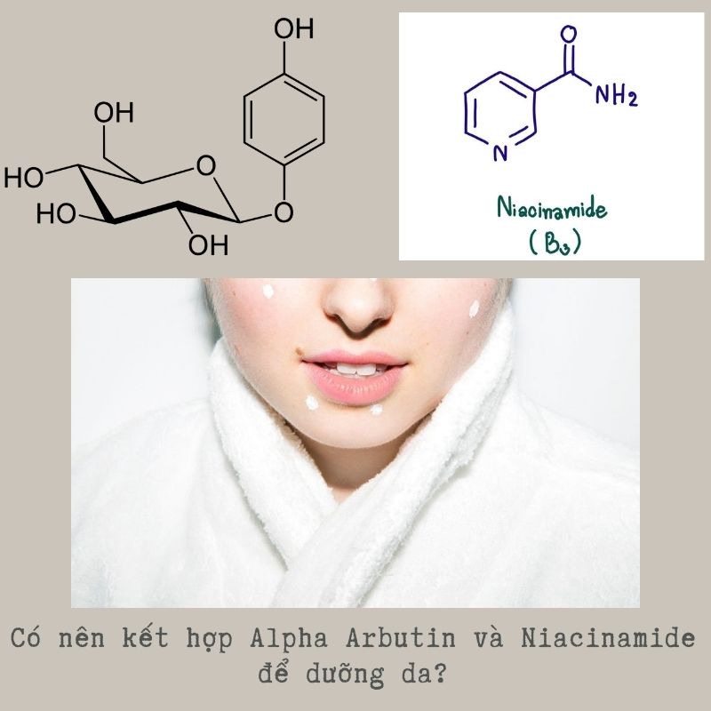 Có nên kết hợp Alpha Arbutin và Niacinamide để dưỡng da?